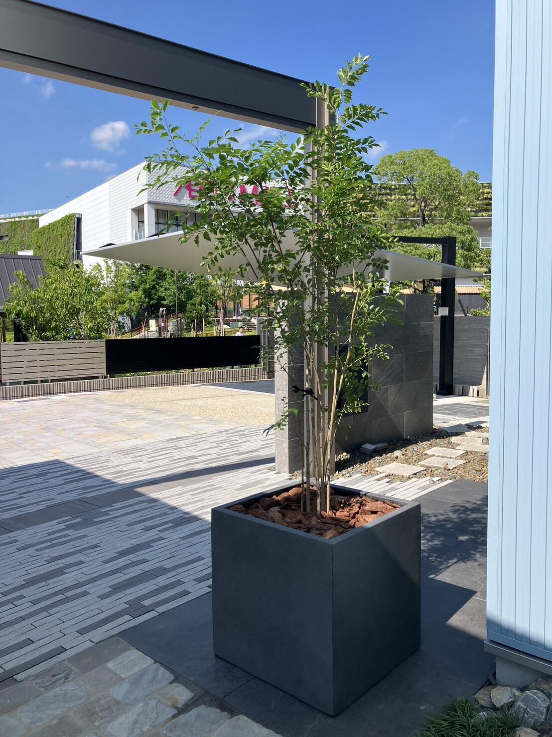 mode3_w1108-③.jpg?v=